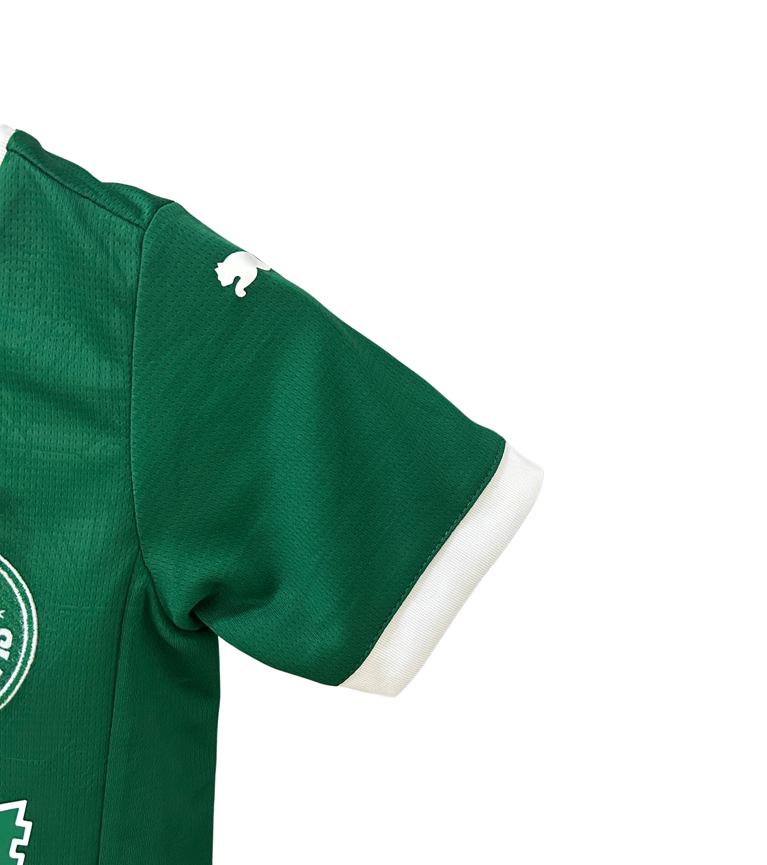 Conjunto Infantil Palmeiras I 2025/26